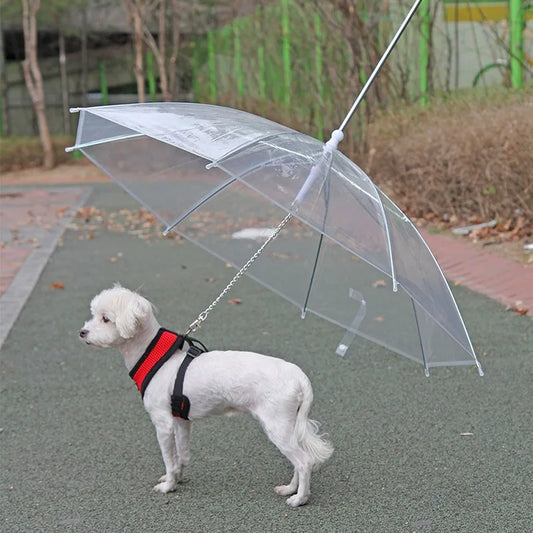 New Pet Umbrella Leash