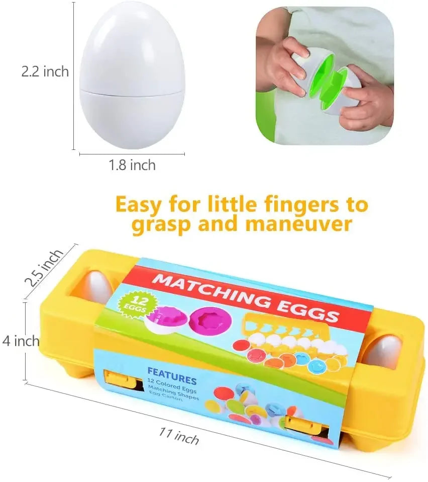 Montessori Learning Education Matching Eggs Toys For Children