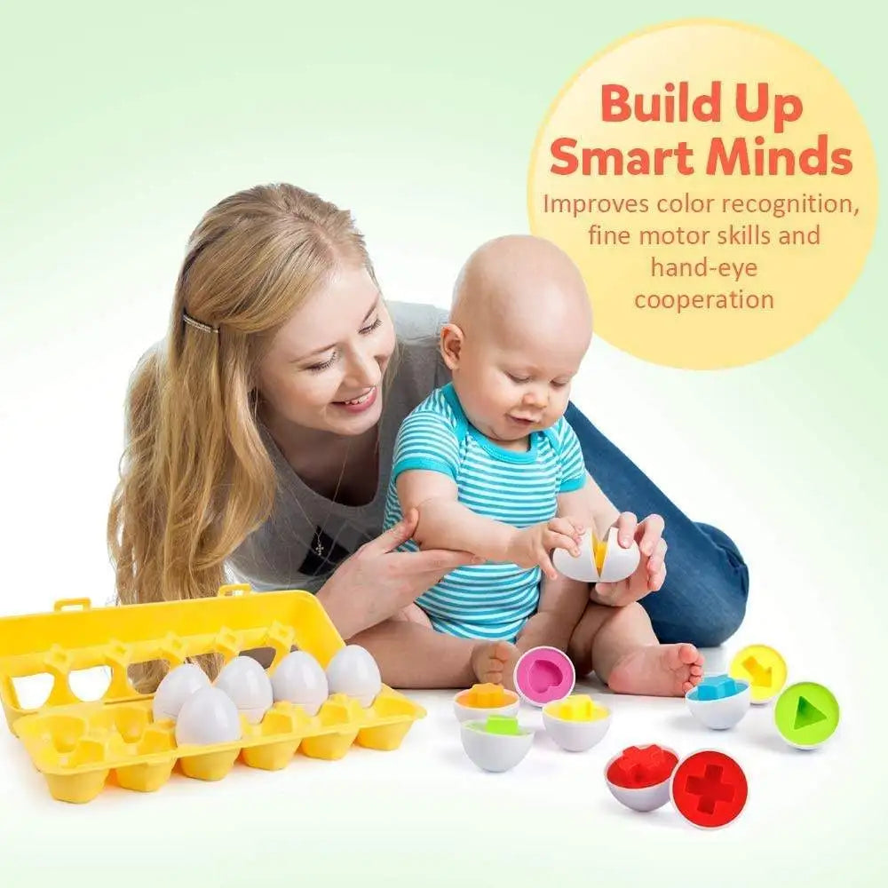 Montessori Learning Education Matching Eggs Toys For Children